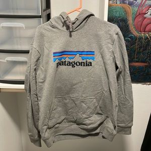 Patagonia Sweatshirt Hoodie